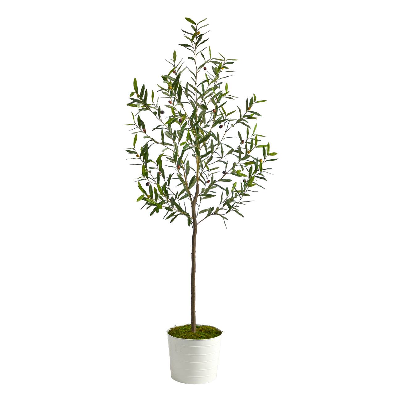 6ft. Olive Artificial Tree in White Tin Planter